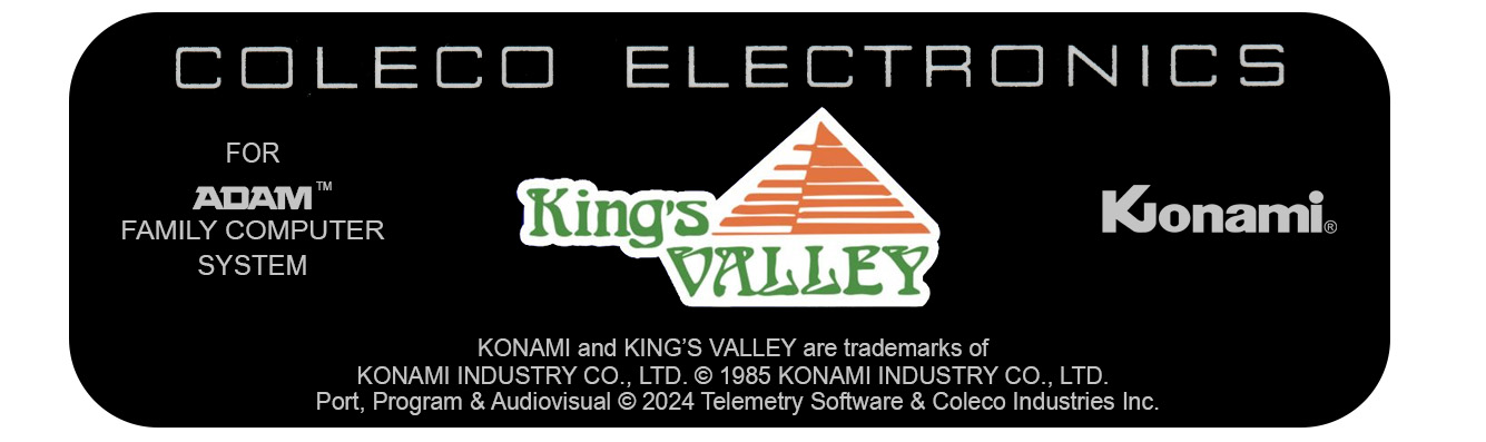 Kings Valley Floppy Disk